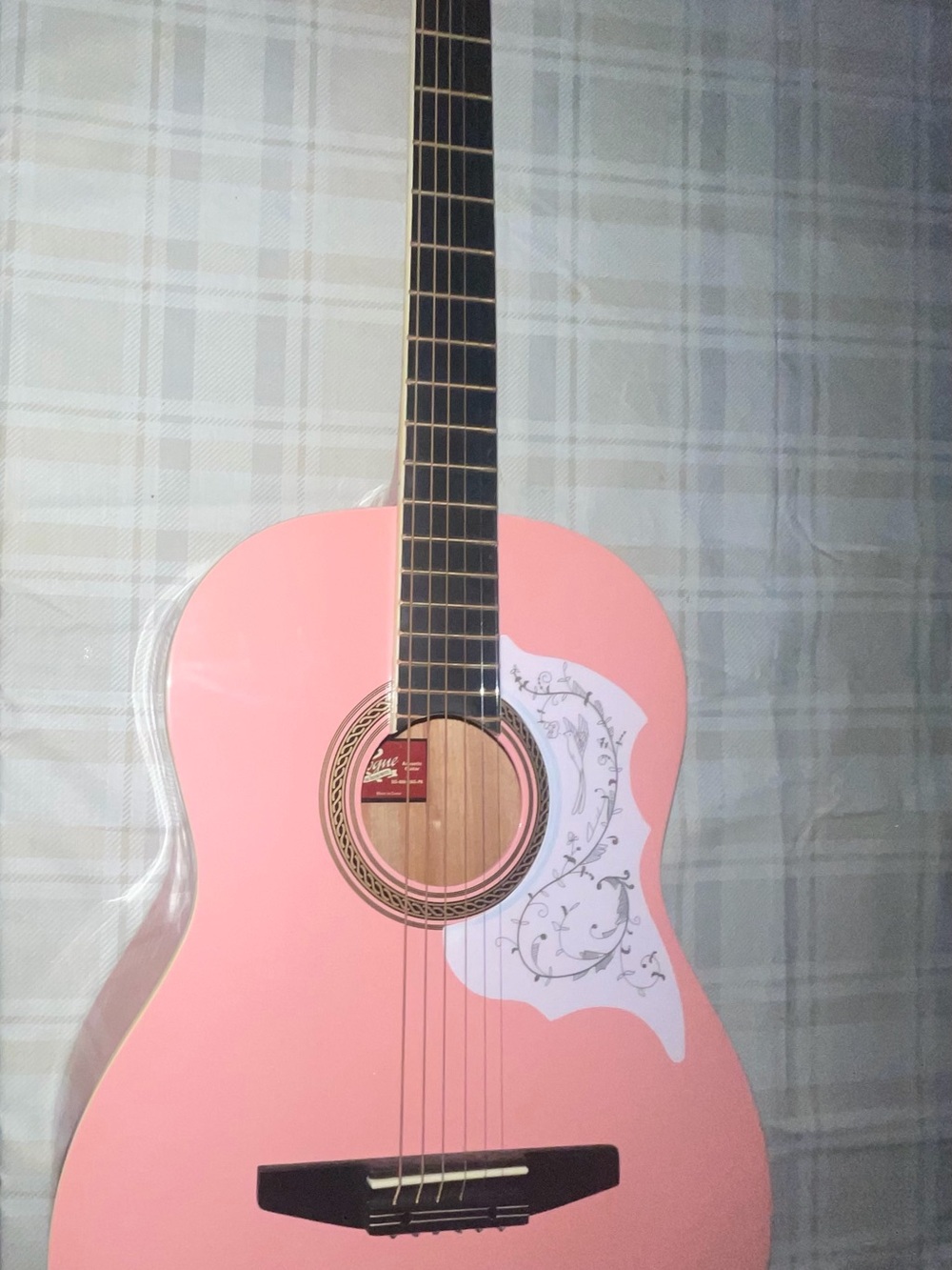 Pink Acoustic Guitar - by Rogue